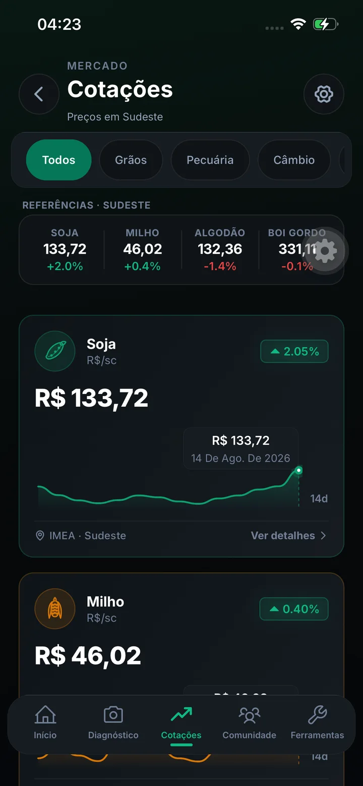Captura real da área de cotações do Pulso do Campo.